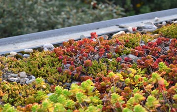 the cost of Ganthorpe green roof installation